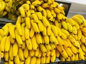 الأسرة تحمي البيئة ،لنحمي مصادرنا