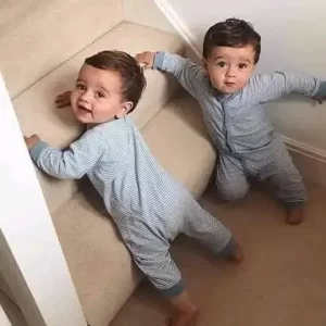 دور المختص الأرطفوني 